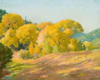 Cottonwood Canyon, Taos
