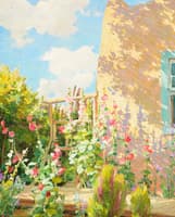 Afternoon Shadows, Taos