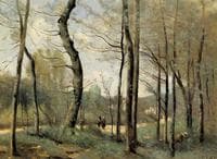 First Leaves, near Nantes