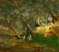 Olive Trees in Bordigera