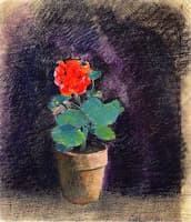 Pot with Geranium