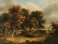 Wood Scene