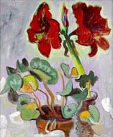 Still life with Amaryllis