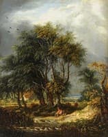 a Woody Landscape