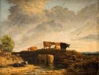 Cows at a Watering Place