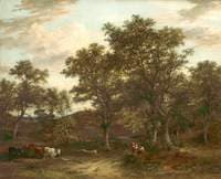Marlborough Forest