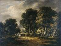 Road through a Forest