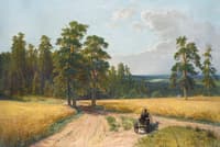 At the Edge of the Pine Forest