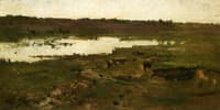 Pond