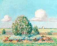 Parterre fleuri