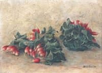 Radishes