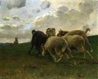 Mountain Goats