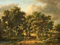 A Wooded Landscape