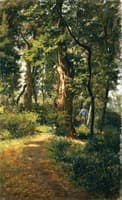 In the Woods