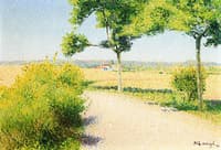 Road Bordered by Broom Flowers by Cailhau