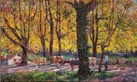 Herding the Cows