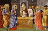 Purification of the Virgin