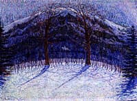 Snowy Landscape