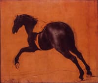 Black horse galloping