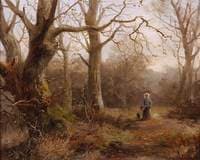 Woodland Scene