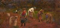 Field Workers Digging Potatoes
