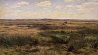 Green Landscape