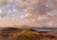 Summer at Kilspindie