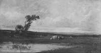Water Meadows and Cattle