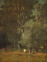 Forest View