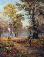Sherwood Forest, Nottinghamshire