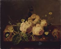 Roses and Butterflies