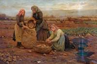 The Potato Pickers
