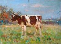 Friesian Cow