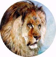 A Lion's Head
