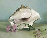A conch shell and pinks