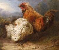 Cock and Hen