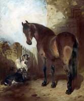 Horse and Goats