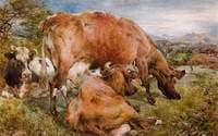 Three Cows in a Field