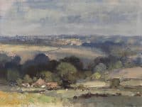 Norfolk Landscape - Summer