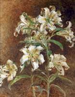 Tiger Lilies