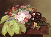 Pansies, Appleblossoms, Gloxinia, Phlox and Primula Auricula on a Brown Marble Ledge