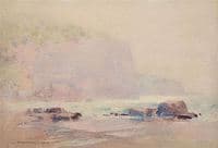 Coastal Mist