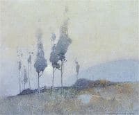 Early Morning