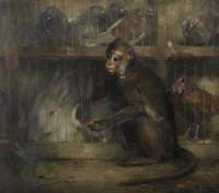 Pet Shop