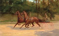 Trotting Home