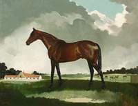Mill Reef