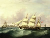 The 'Alert' of Liverpool off Capetown