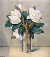 Magnolias
