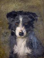 Head of a Dog