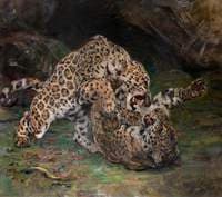 Jaguars at Play